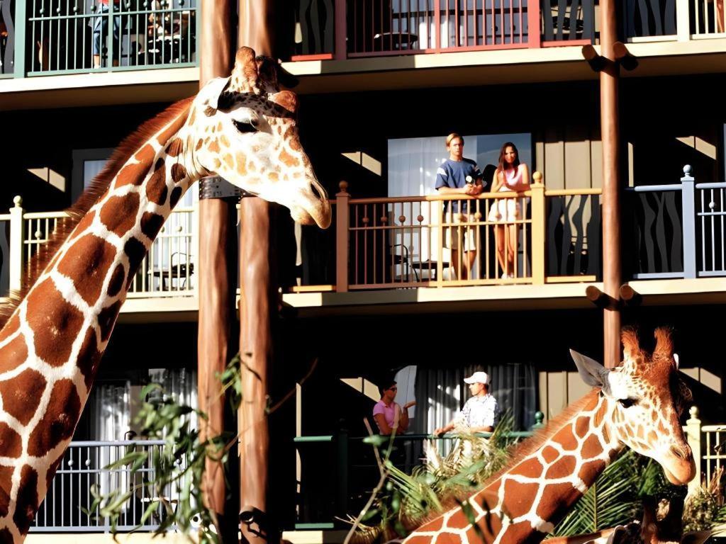 Disney'S Animal Kingdom Lodge Four Corners Dış mekan fotoğraf