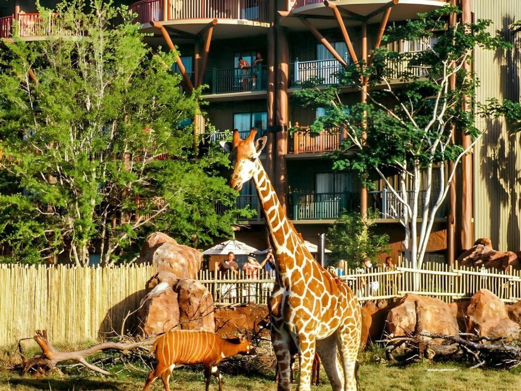Disney'S Animal Kingdom Lodge Four Corners Dış mekan fotoğraf
