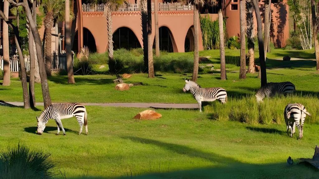 Disney'S Animal Kingdom Lodge Four Corners Dış mekan fotoğraf